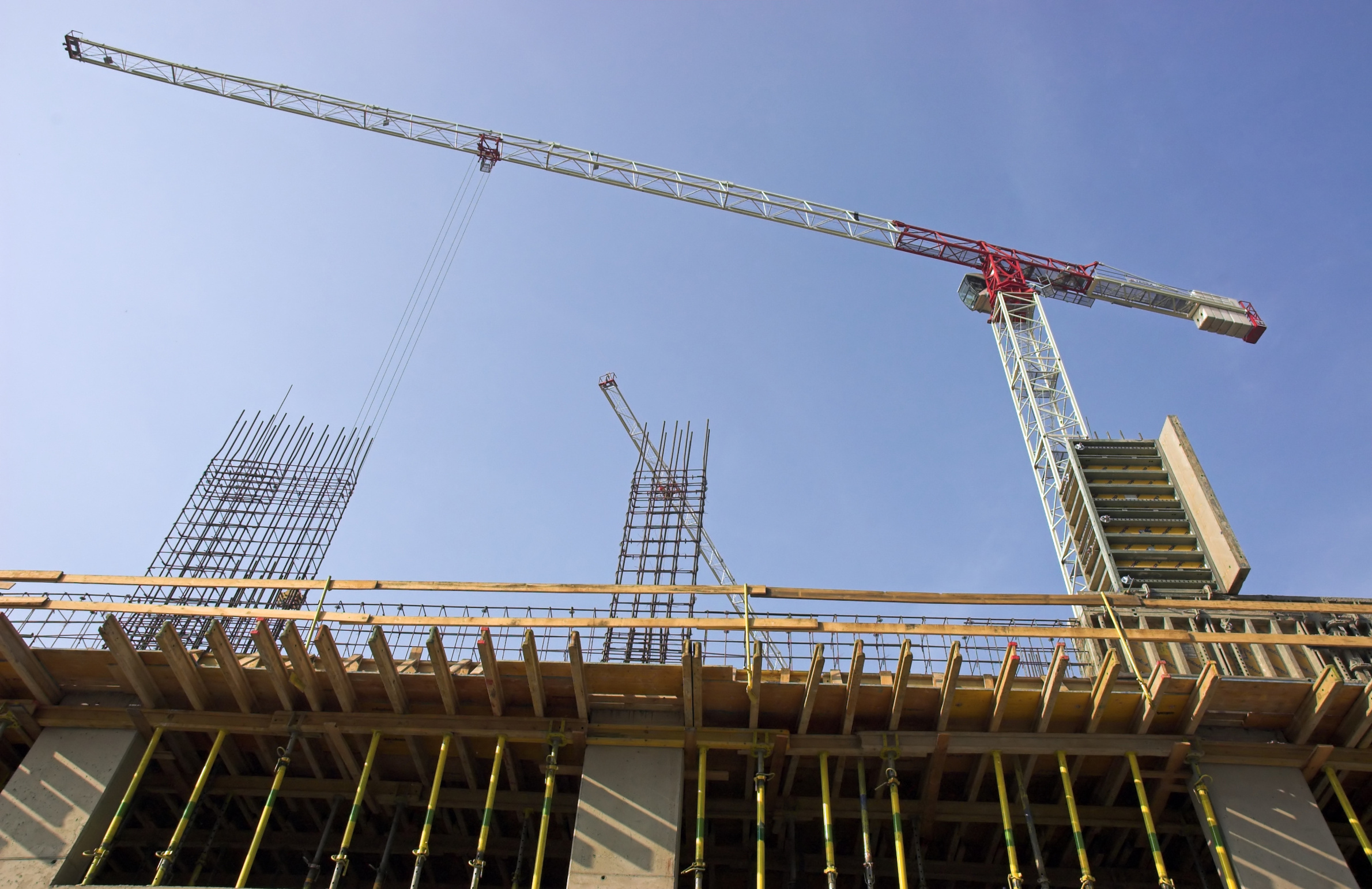 Orchestrating Zaraya's Token Launch Calendar